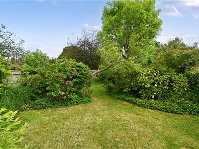 Picture 28